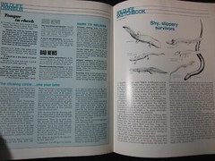 National Wildlife Magazine August/September 1972 [Single Issue Magazine] Natio..