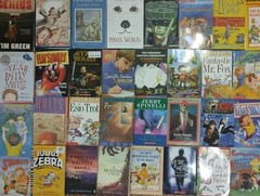RANDOM Lot of 15 4th Grade AR Chapter Books RL Level 4.0-4.9 Homeschool Teacher