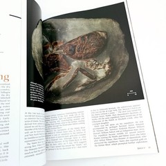 Australian Age of Dinosaurs Journal Iron Dragon Issue 17 Free Postage
