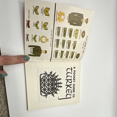 A Pocket Guide to Turkey by Compilation Armed Forces PB Illustrated 1965