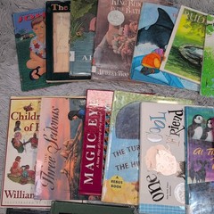 Bulk Lot of Mixed Books Various Authors & Genres Childhood Homeschool Learning