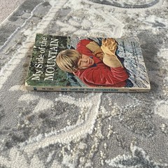 My Side of the Mountain by Jean George