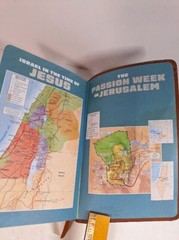 Holman Bible Christian Standard Version Children’s Lion King Cover Color Maps