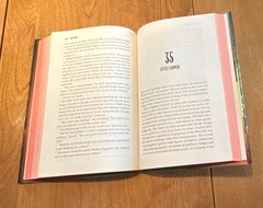The Lotus Shoes by Jane Yang Hardcover Fiction Novel, Sisterhood, Historical