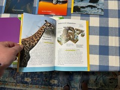 Lot 16 DK Readers Science ELL Interactive Science Homeschool Level 5