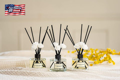 CULTURE & NATURE Reed Diffuser Set 6.7Oz (200Ml) French Lavender Scented Diffuse