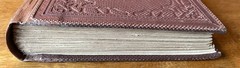 Honey Blossoms for Little Bees 1859 Victorian Decorative Binding Antique 1st Ed