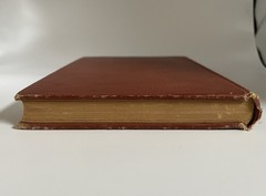 RARE Antique DeLoup American Salad Book 4th Edition Revised, pub. Doubleday 1919