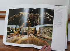Dinosaurs & Other Prehistoric Animals Book 448 Pages, Amber Books – VGUC