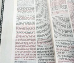 NIV Trimline Bible 1984 Zondervan Blue Bonded Leather Snap Flap Red Letters