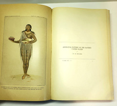 American Indian Ethnology Twentieth 20th Annual Report 1898 – 1899