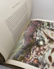 Prehistoric Animals J. Augusta-Z. Burian Vintage Dinosaur Book HC