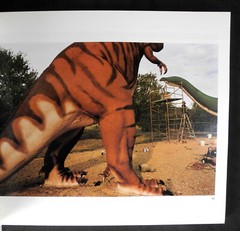 True Stories by David Byrne and Len Jenshel (1986, Trade Paperback) – SIGNED