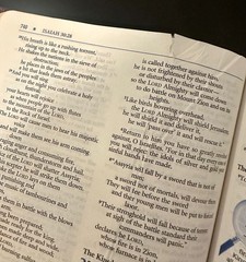 The Student Bible NIV Zondervan (1996, Bonded Leather)