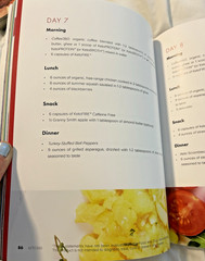 KETO 360 Blueprint Book NEW Journal Pages/Phase Plans