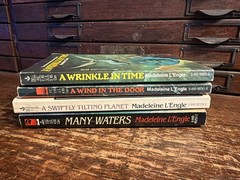 Lot 4: Wrinkle in Time Madeleine L’Engle 1976 Stranger Things Paperback Set Wind