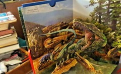 Dinosaurs in the Round by RH Disney Staff (2008, Novelty Book)