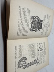 True Manhood Manual for Young Men Shepherd -White Cross 1889 Hardcover Stockham