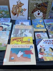 25 AR Accelerated Reader Titles – Reading Levels 2.1-2.9 Labeled & Ready!(4)