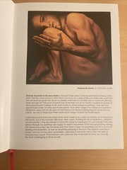 CAPOLAVORO DI UOMO MASTERPIECE OF MAN DIVERSITY IN GAY EROTIC ART NEW HC W/DJ