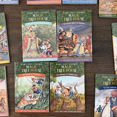 Magic Tree House Lot 27 Books #1-28 Missing #5 Mary Pope Osborne PB