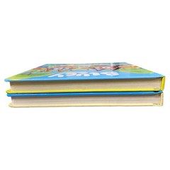 Bluey Board Book Set x 2 The Pool The Beach Hardcover Kids TV Series Picture Lot