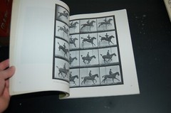 Horses and Other Animals in Motion: 45 Class… by Muybridge, Eadweard Paperback