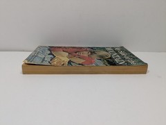 My Side of the Mountain by Jean George Vintage Paperback Book Scholastic Book
