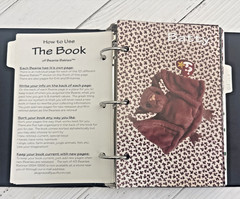 ’THE BOOK of Ty BEANIE BABIES’ by LYNN & LEE DRALLE to CATALOG COLLECTIONS