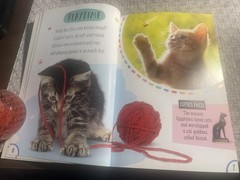 Rosie Greening, The Cuties Club:Kitten Cuties with necklace, like new