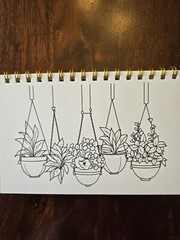 House Plants Coloring books for adults. A5 Size Coloring Book 8.5 in X 5.5 in.