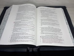 LSB Large Print- Wide Margin Badalassi Carlo Pueblo Sapphire Bible – Rebind