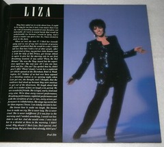 LIZA MINNELLI 12 x 12 PICTURE Booklet / REVIEW of MOVIES & SHOWS & FAMILY
