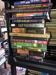 Middle School Children’s Book Lot Of 50 Assorted Ages 9 To 12 Very Good