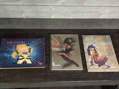 Eye Candy, Female Adult , Art Book Lot Of 3 New Great For Inmates, Graphic Art