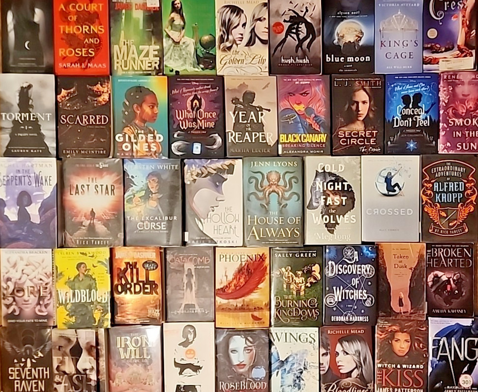RANDOM MIX Lot of 10 Young Adults YA Teen ROMANTASY SCI-FI DYSTOPIAN PARANORMAL