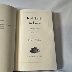 Red-Tails in Love : PALE MALE’s STORY–A True Wildlife Drama in Central Park