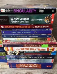 Lot of 28 Grade 3-6 Chapter Books Novels 14lbs / 39 Clues, ECHO , School of Fear