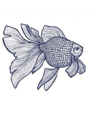 Gold fish Coloring book for all ages 108 Pages 8.5 x 11 for All Ages