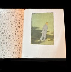 Francis Alÿs The Prophet and the Fly Text by Catherine Lampert