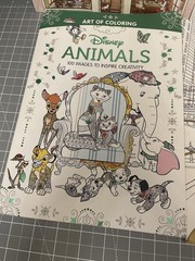 Coloring Book Mixed Lot Of 5 Disney Animals, Dollhouse, Retro, Birds And Insects