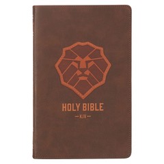 Kjv Kids Bible, 40 Pages Full Color Study Helps, Presentatio…