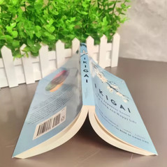 The Japanese Secret Philosophy For A Happy Healthy By Hector Garcia Book Rebuild