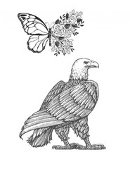 Best Save the Eagles Coloring Save the Planet Series 108 Pages 8.5 x 11 All Ages