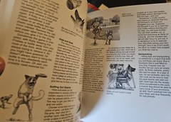Akitas A Complete Pet Owners Manual Paperback 1997 By Dan Rice Photos & Illus.