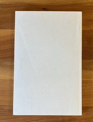 The Black Mask Boys ~ William F. Nolan ~ William Morrow ~ Bound Galleys ~ Rare!