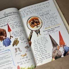 Gnomes by Wil Huygen Rien Poortvliet 1977 Hardcover Illustrated First Edition