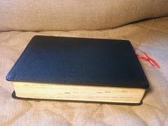 新譯和合聖經 New Chinese Version Union Parallel Bible Worldwide Bible Society