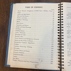 Cookbook 1938 J.R. Watkins Blue Wire Bound Interesting Recipes Vtg 288 Pages