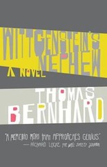Wittgenstein’s Nephew: A Novel (Vintage International) – Paperback – GOOD